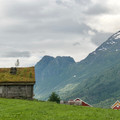 DSC_0176.jpg